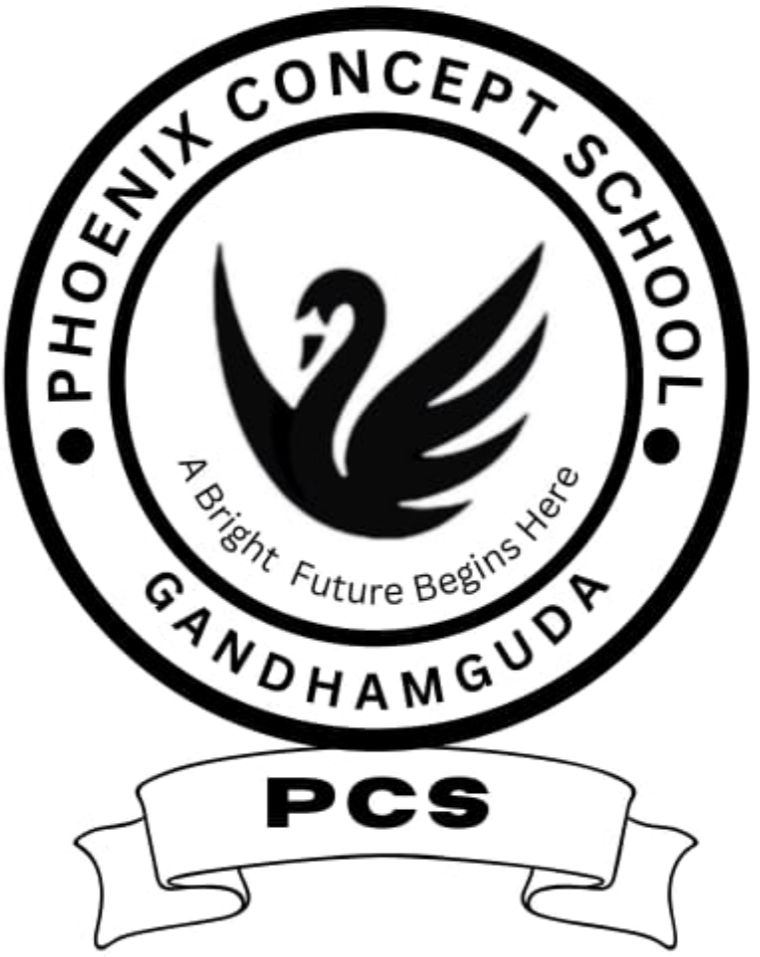 PHOENIX CONCEPT SCHOOL cover