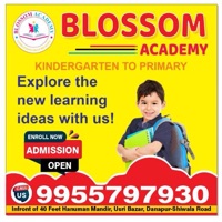 BLOSSOM ACADEMY photo 2